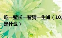 吃一堑长一智猜一生肖（10月08日“吃一堑长一智”的意思是什么）