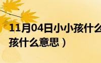 11月04日小小孩什么意思啊（11月04日小小孩什么意思）