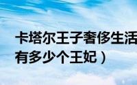 卡塔尔王子奢侈生活（11月04日卡塔尔王子有多少个王妃）