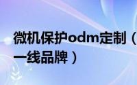 微机保护odm定制（10月08日微机保护国内一线品牌）