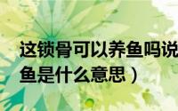 这锁骨可以养鱼吗说说（10月08日锁骨养金鱼是什么意思）