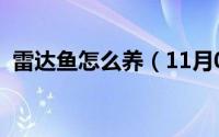 雷达鱼怎么养（11月04日雷达鱼能活多久）