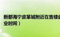 新都海宁皮革城附近在售楼盘（11月04日新都海宁皮革城营业时间）