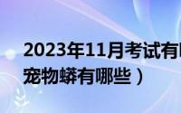 2023年11月考试有哪些（11月05日常见的宠物蟒有哪些）