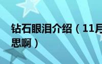 钻石眼泪介绍（11月04日钻石眼泪是什么意思啊）