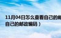 11月04日怎么查看自己的邮政编码呢（11月04日怎么查看自己的邮政编码）