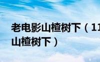 老电影山楂树下（11月05日潘虹主演电视剧山楂树下）