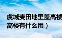 虞城麦田地里盖高楼以案促改（11月05日盖高楼有什么用）