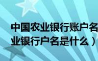 中国农业银行账户名称怎么填（11月05日农业银行户名是什么）