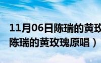 11月06日陈瑞的黄玫瑰原唱歌词（11月06日陈瑞的黄玫瑰原唱）