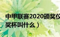 中甲联赛2020颁奖仪式（10月08日中甲冠军奖杯叫什么）