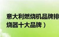 意大利燃烧机品牌排行（11月05日意大利燃烧器十大品牌）