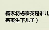 杨家将杨宗英是谁儿子（10月08日杨家将杨宗英生下儿子）