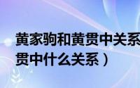 黄家驹和黄贯中关系（11月05日黄家驹跟黄贯中什么关系）