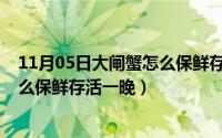 11月05日大闸蟹怎么保鲜存活一晚呢（11月05日大闸蟹怎么保鲜存活一晚）