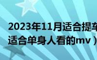 2023年11月适合提车的黄道吉日（11月05日适合单身人看的mv）