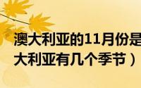 澳大利亚的11月份是什么季节（11月05日澳大利亚有几个季节）