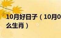 10月好日子（10月08日孤家寡人走江湖是什么生肖）