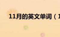 11月的英文单词（11月05日绦的组词）