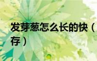 发芽葱怎么长的快（11月05日发芽葱怎么保存）