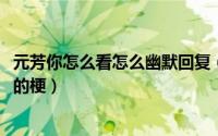 元芳你怎么看怎么幽默回复（11月05日元芳你怎么看怎么来的梗）