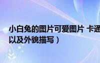 小白兔的图片可爱图片 卡通（11月06日小白兔图片和资料以及外貌描写）