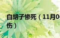 白胡子惨死（11月06日白胡子死时受了多少伤）