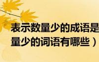 表示数量少的成语是什么（11月06日形容数量少的词语有哪些）