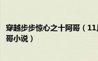 穿越步步惊心之十阿哥（11月06日男主穿越到步步惊心的阿哥小说）