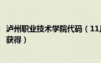 泸州职业技术学院代码（11月06日鲜花小镇红色仙客来怎么获得）