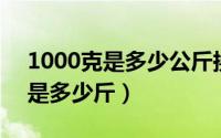 1000克是多少公斤换算（11月07日1千g克是多少斤）