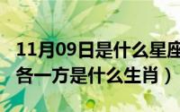 11月09日是什么星座（11月06日不敢奢望天各一方是什么生肖）