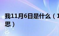 我11月6日是什么（11月06日lt代表的什么意思）