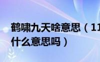 鹤啸九天啥意思（11月07日你知道鹤啸九天什么意思吗）