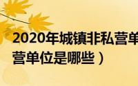 2020年城镇非私营单位（11月07日城镇非私营单位是哪些）