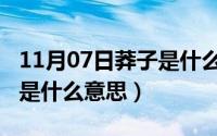 11月07日莽子是什么意思啊（11月07日莽子是什么意思）