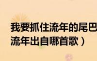 我要抓住流年的尾巴（11月07日我想要抓住流年出自哪首歌）