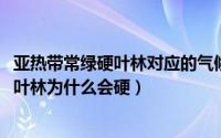 亚热带常绿硬叶林对应的气候类型（10月08日亚热带常绿硬叶林为什么会硬）