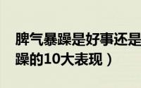 脾气暴躁是好事还是坏事（11月07日脾气暴躁的10大表现）