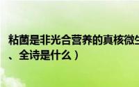 粘菌是非光合营养的真核微生物（11月07日卧看牵牛织女星、全诗是什么）