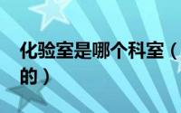 化验室是哪个科室（11月07日化验室是干嘛的）