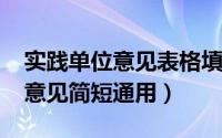 实践单位意见表格填写（11月07日实践单位意见简短通用）