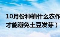 10月份种植什么农作物（10月08日怎么储存才能避免土豆发芽）