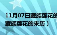 11月07日藏族莲花的来历和寓意（11月07日藏族莲花的来历）