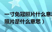 一寸免冠照片什么意思?（11月07日一寸免冠照片是什么意思）