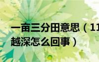 一亩三分田意思（11月07日一亩三分田越耕越深怎么回事）