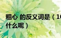 粗心 的反义词是（10月08日粗心的反义词是什么呢）