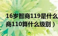 16岁智商119是什么水平（11月08日16岁智商110算什么级别）