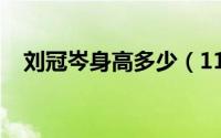 刘冠岑身高多少（11月08日刘冠岑身高）