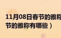 11月08日春节的雅称有哪些呢（11月08日春节的雅称有哪些）